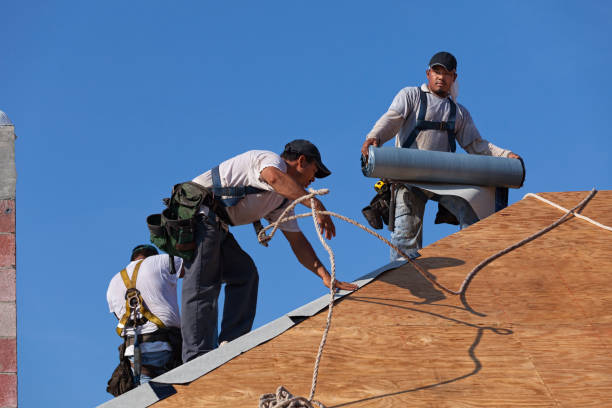Best Roof Gutter Cleaning  in Fredericksburg, VA