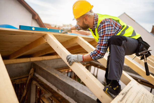Best Sealant for Roof  in Fredericksburg, VA