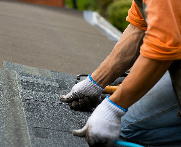 Best Roof Maintenance Services  in Fredericksburg, VA